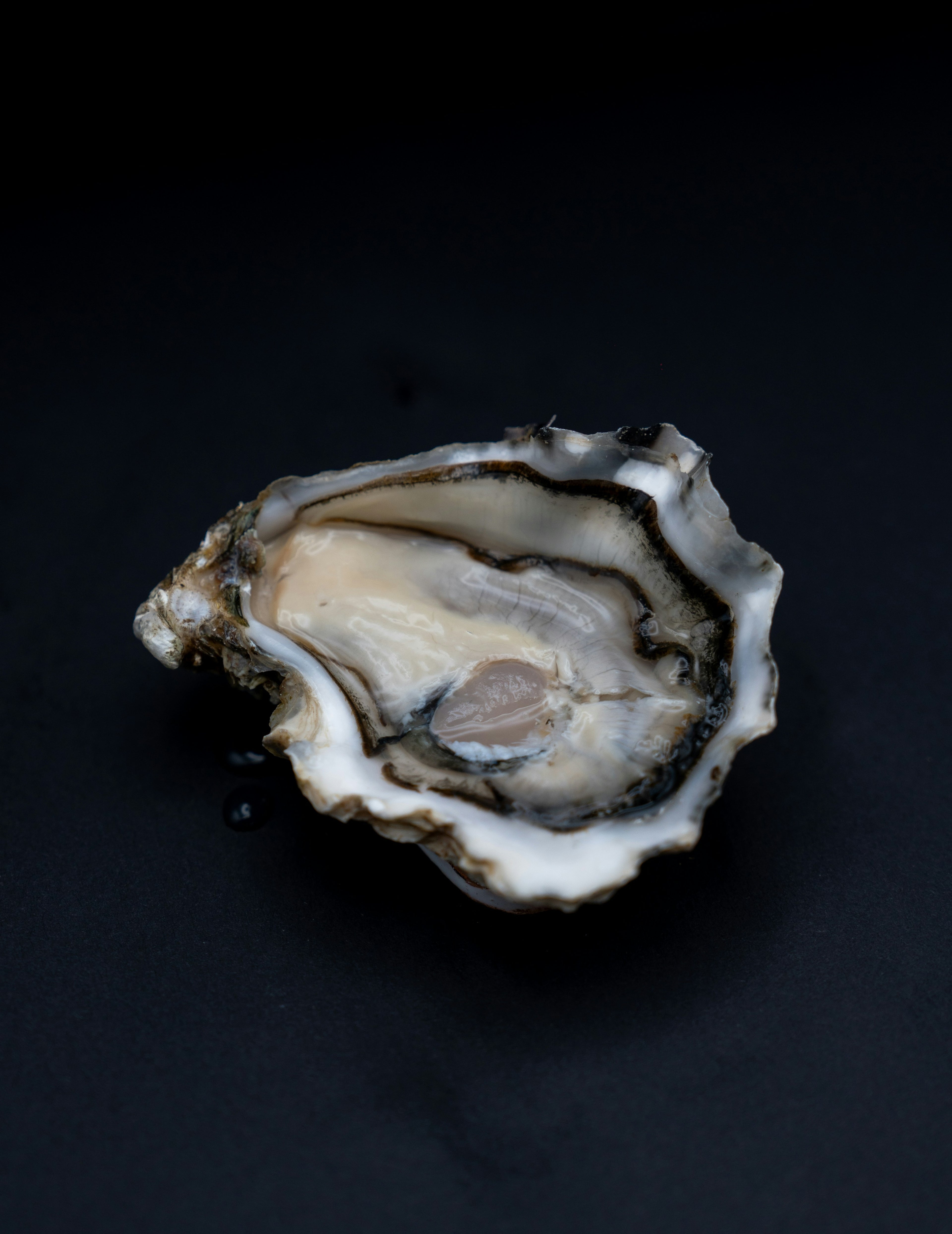 Caja ostras 20 unidades